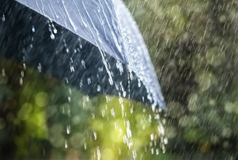 depositphotos_89412584-stock-photo-rain-drops-falling-on-umbrella